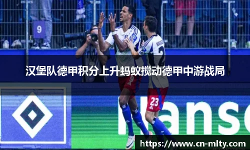 汉堡队德甲积分上升蚂蚁搅动德甲中游战局