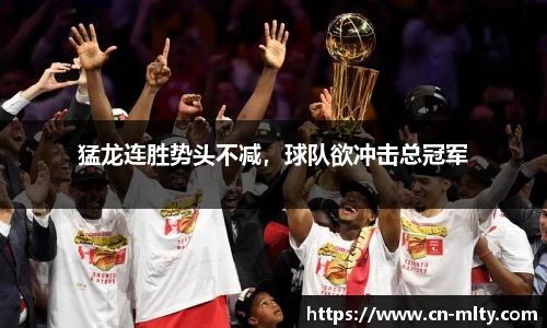 猛龙连胜势头不减，球队欲冲击总冠军